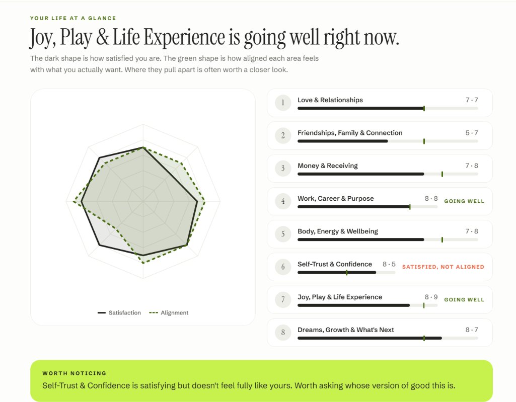 The Life Audit results page: a map of eight areas of life with satisfaction and alignment scores